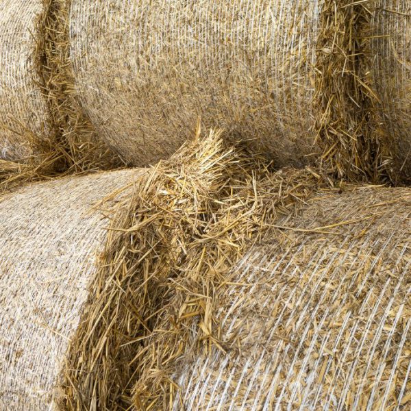 Bale Net – Landfill Biodegradable - Image 3